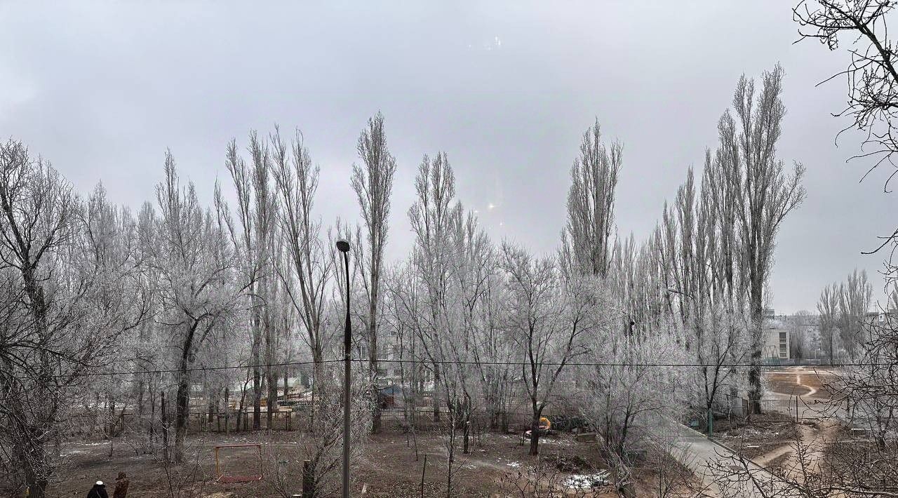 квартира г Волгоград р-н Дзержинский мкр Жилгородок ул Танкистов 12 фото 16