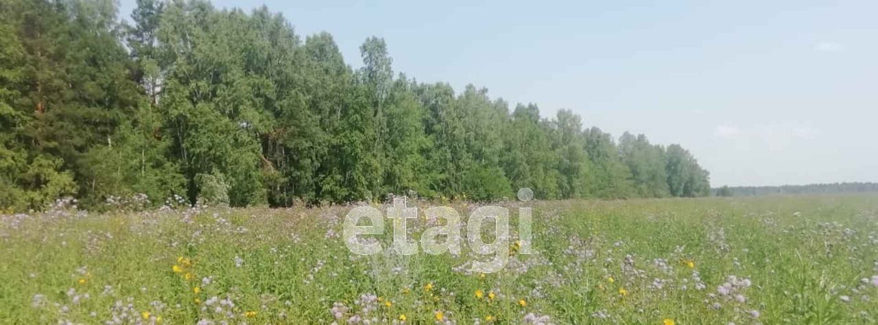 земля р-н Пригородный с Николо-Павловское фото 20