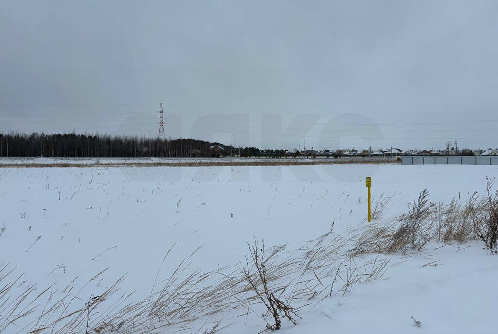 земля р-н Нижнекамский с Борок ул Придорожная 18 Каенлинское сельское поселение фото 1