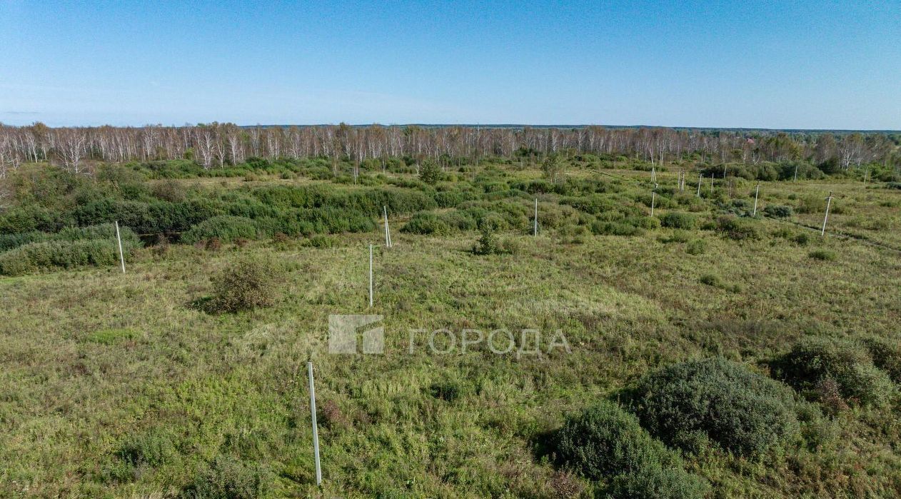 земля ДНТ, Коченевский район, Волна, ул. Озерная фото 13