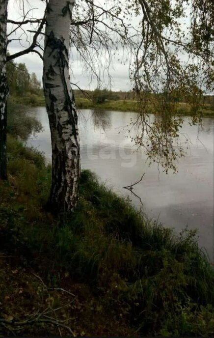 земля Муромцевское городское поселение, деревня Павловка фото 4