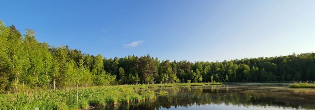 дом городской округ Дмитровский Дзержинец-83 садовое товарищество, 83, Алтуфьево фото 47