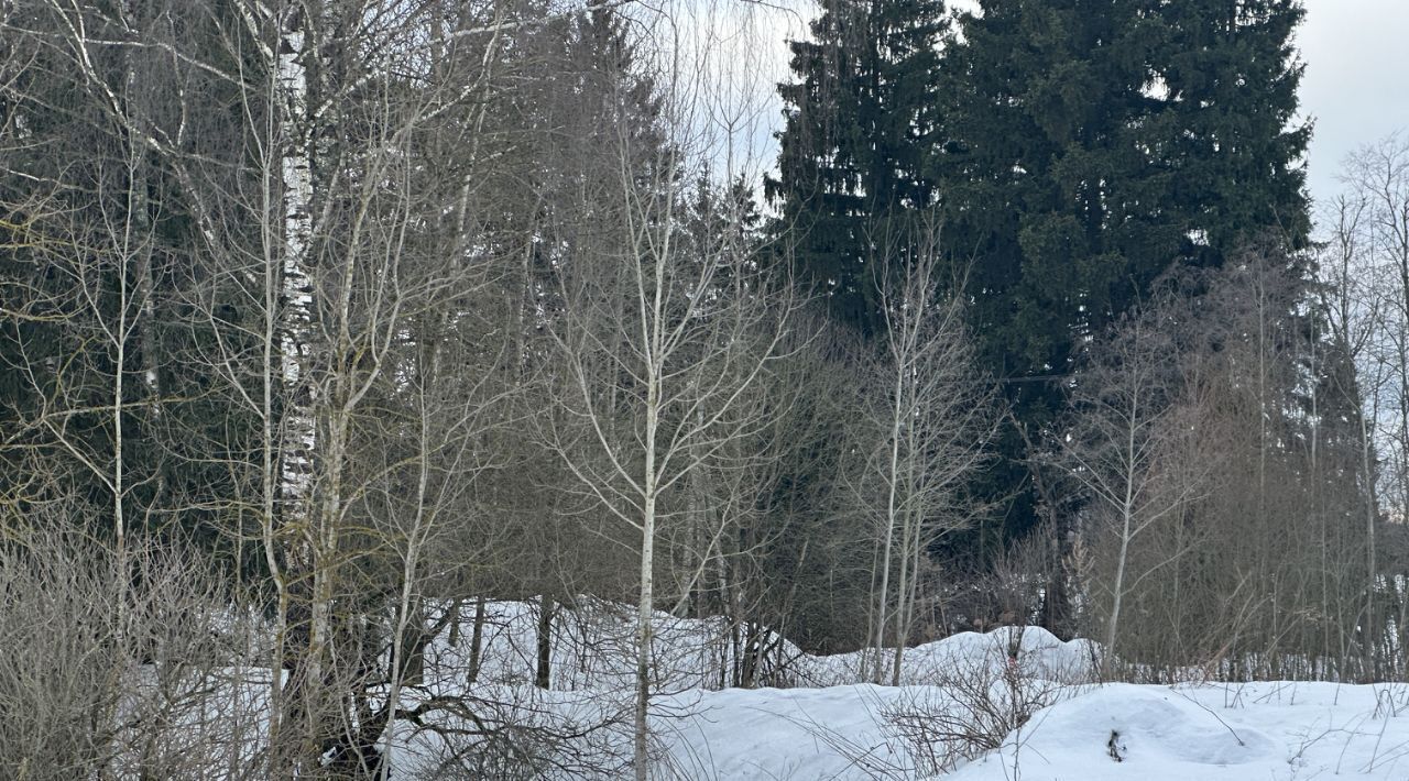 офис городской округ Истра д Глебово ул Зеленая фото 1