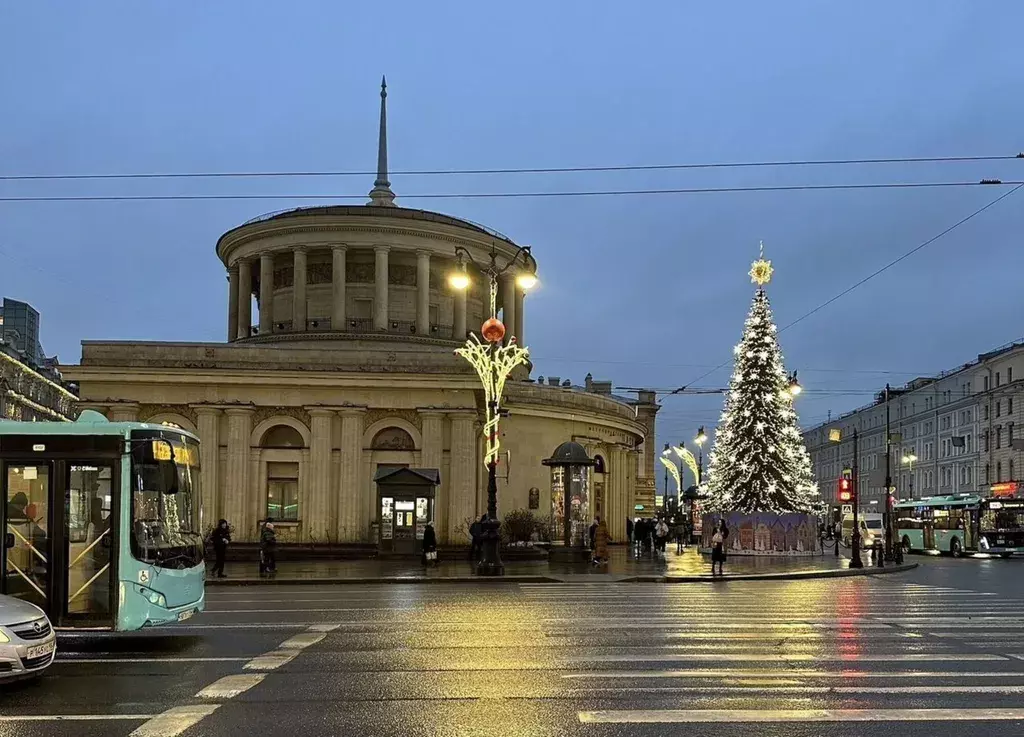 квартира г Санкт-Петербург пр-кт Лиговский 63 Ленинградская область фото 29