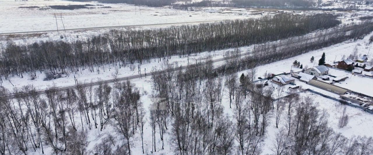 земля р-н Тогучинский с Репьево Репьевский сельсовет фото 27