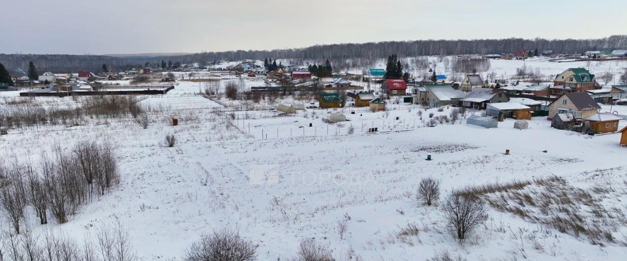 земля р-н Тогучинский с Репьево ул Инская Репьевский сельсовет фото 37