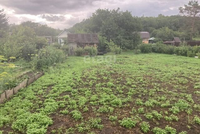 СТ Маслобойного завода фото