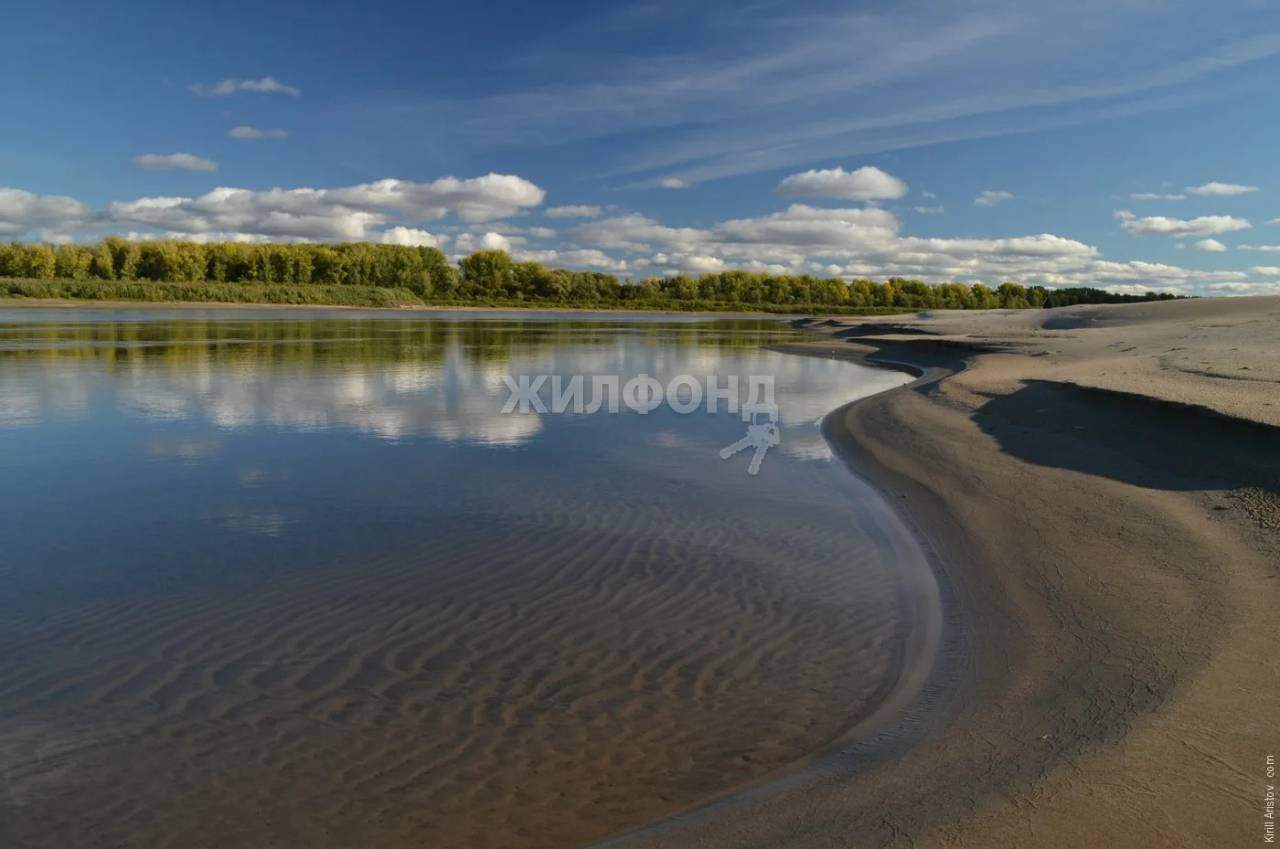 земля р-н Чаинский с Коломино ул Светлая фото 2