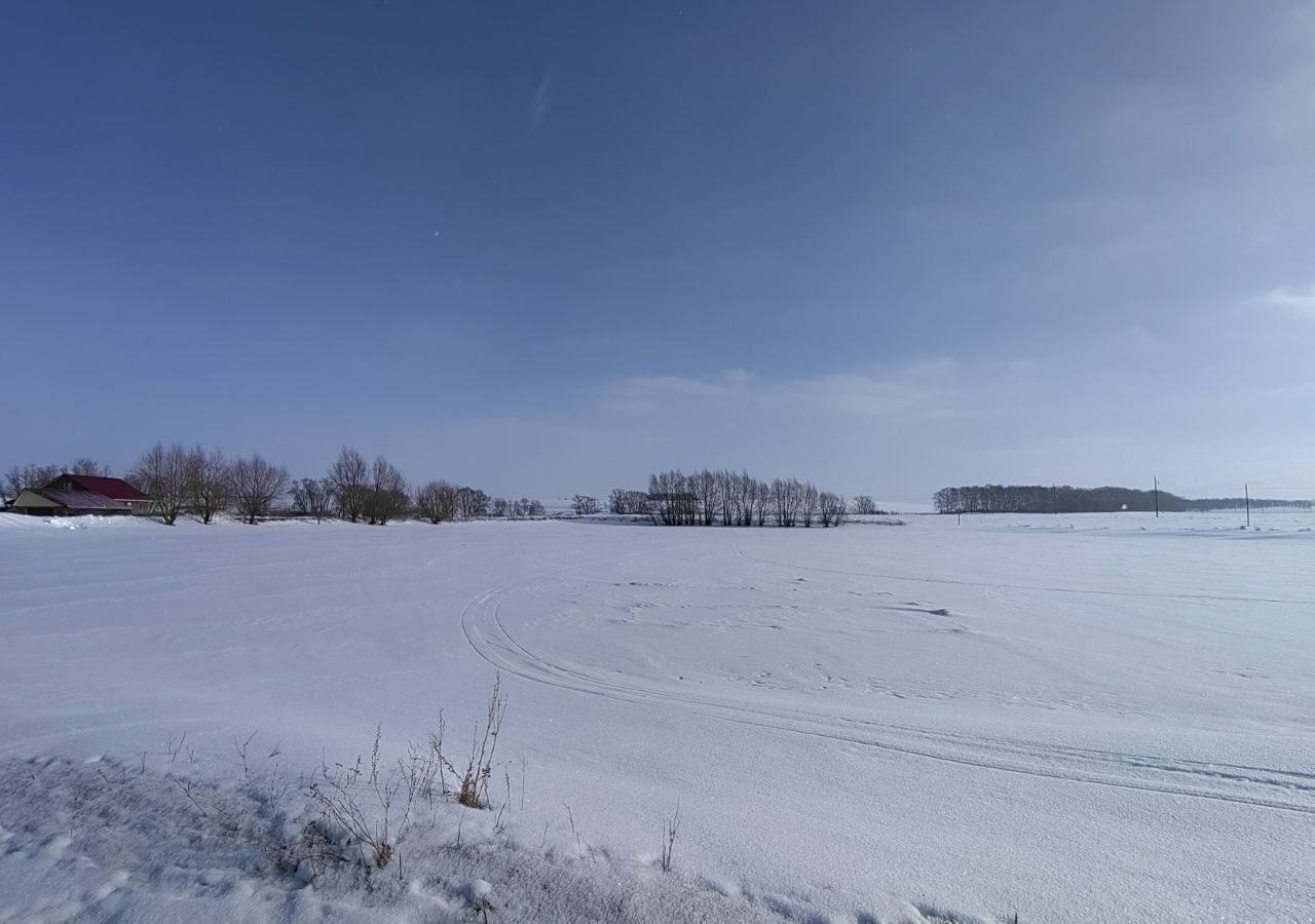 земля р-н Кармаскалинский с Шаймуратово Шаймуратовский сельсовет, Кармаскалы фото 6