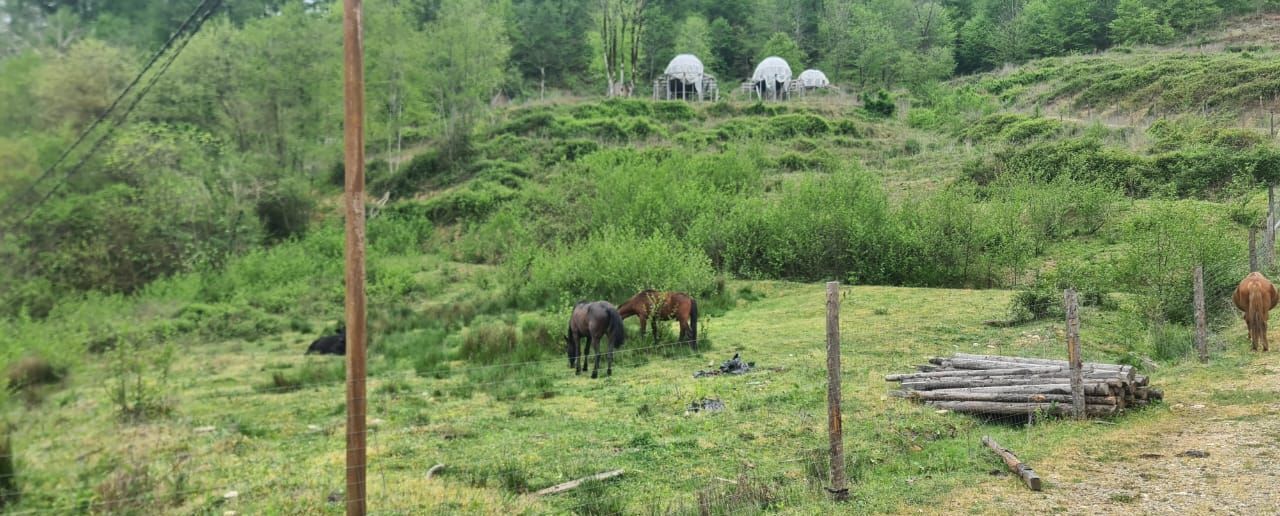 земля г Сочи р-н Лазаревский мкр-н Нижняя Хобза фото 6