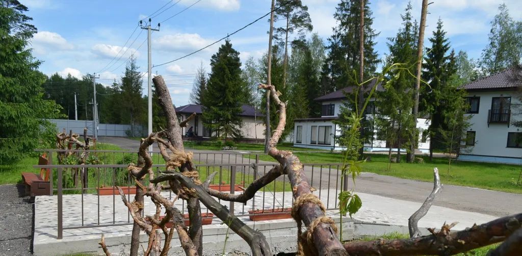 дом городской округ Солнечногорск д Покров ул Железнодорожная 2 фото 12