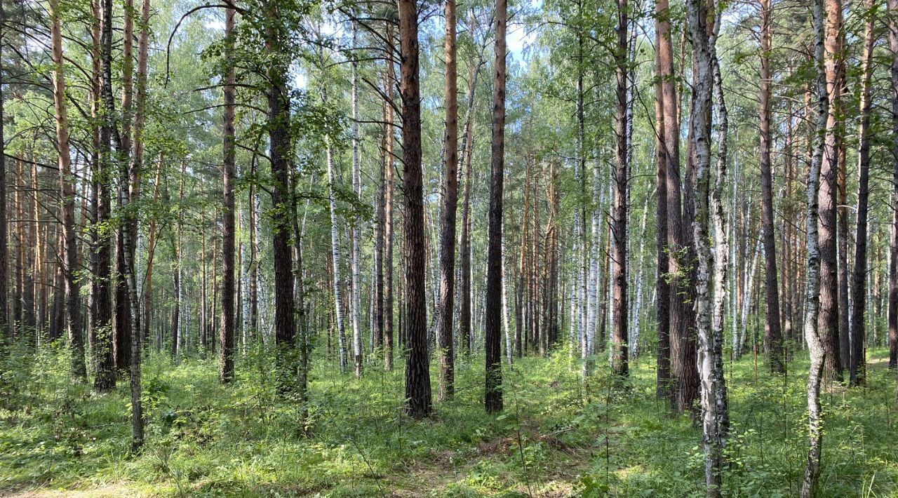 офис г Верхняя Пышма п Ромашка ул Балтымская фото 2