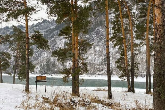 ул Родниковая Горно-Алтайск городской округ фото