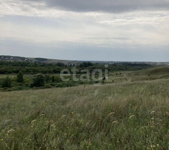 земля р-н Белгородский с Никольское ул Бриллиантовая фото 2