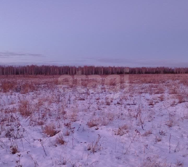 земля р-н Нижнетавдинский с. Антипино фото 10