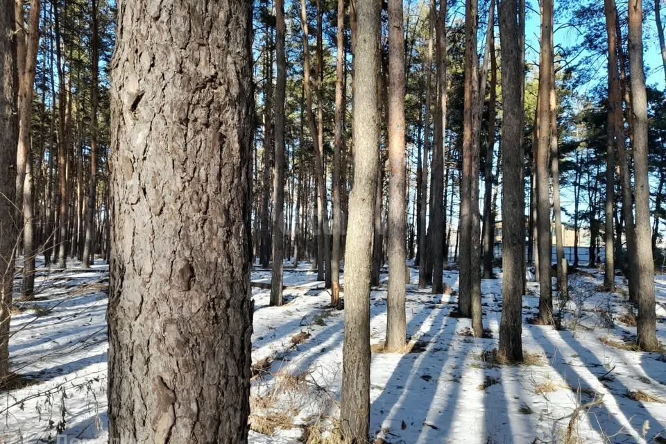 земля г Воронеж р-н Коминтерновский Подгорное городской округ Воронеж, Дачный посёлок, 1 фото 8