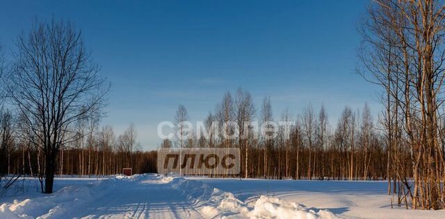 Баклашинское муниципальное образование фото