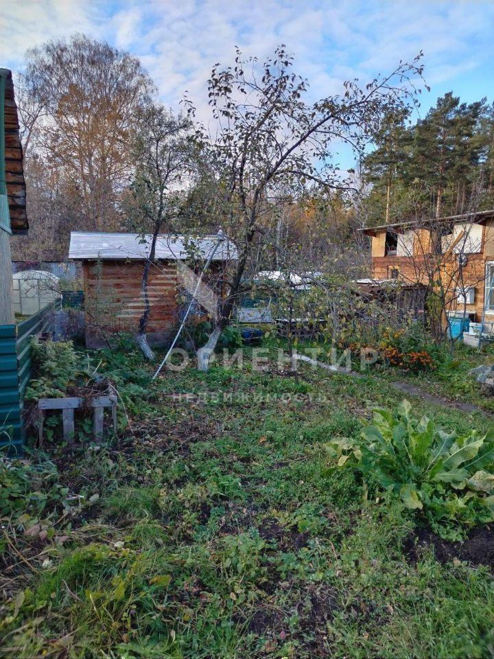 земля г Екатеринбург р-н Орджоникидзевский ул Павловская 61а фото 5