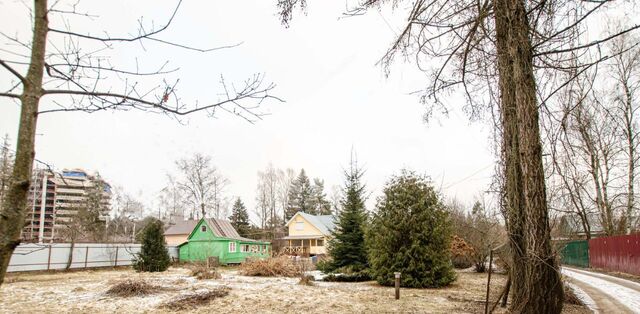 земля снт Пенсионер Зеленоград — Крюково, Москва, Зеленоград фото