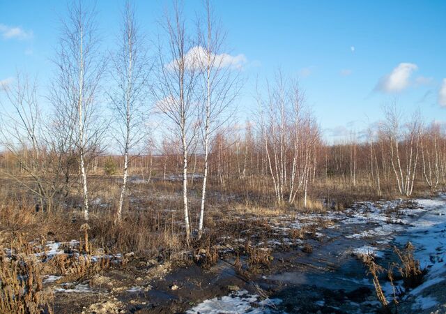 городской округ Серпухов д Пущино 82 км, Пущино, Симферопольское шоссе фото