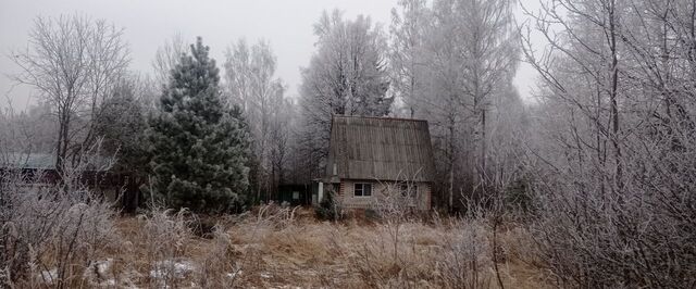 д Михеево Радужный фото