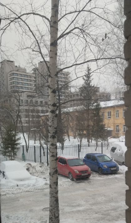 комната г Новосибирск Заельцовская ул Аэропорт 54 фото 21