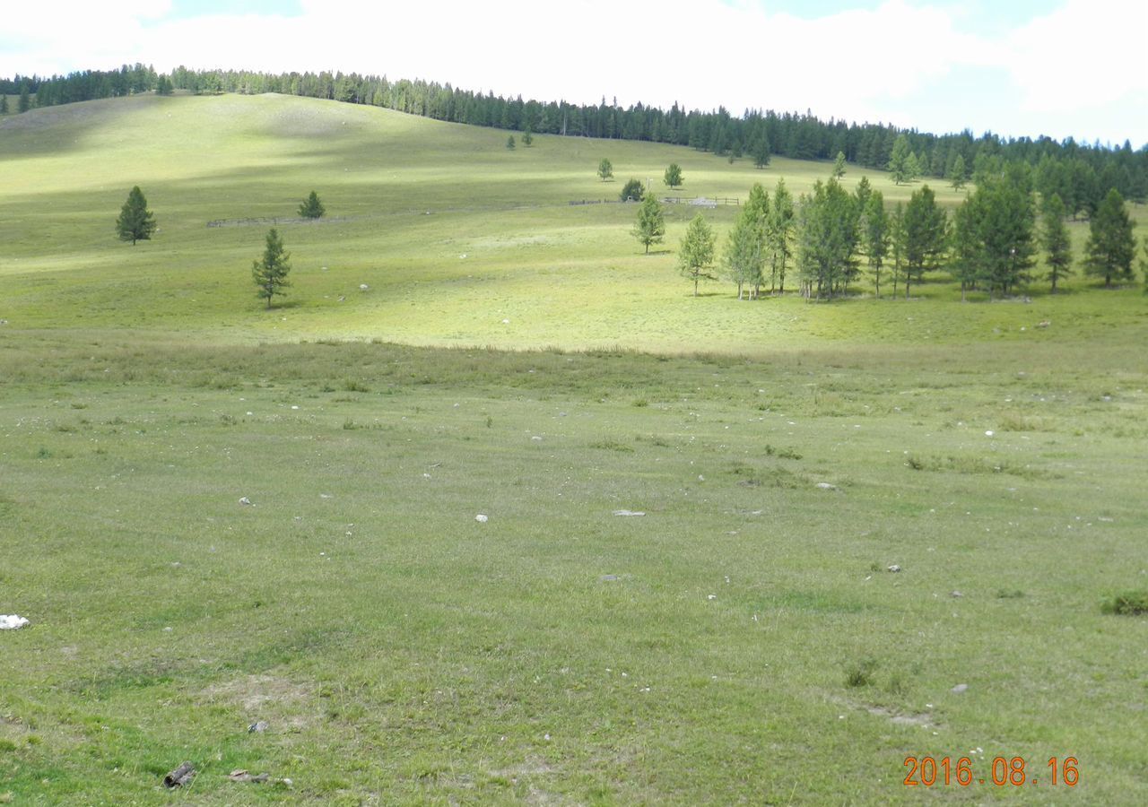 земля р-н Улаганский с/п Балыктуюльское Усть-Улаган фото 14