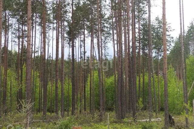 ул Заречная 3 Сыктывкар городской округ фото