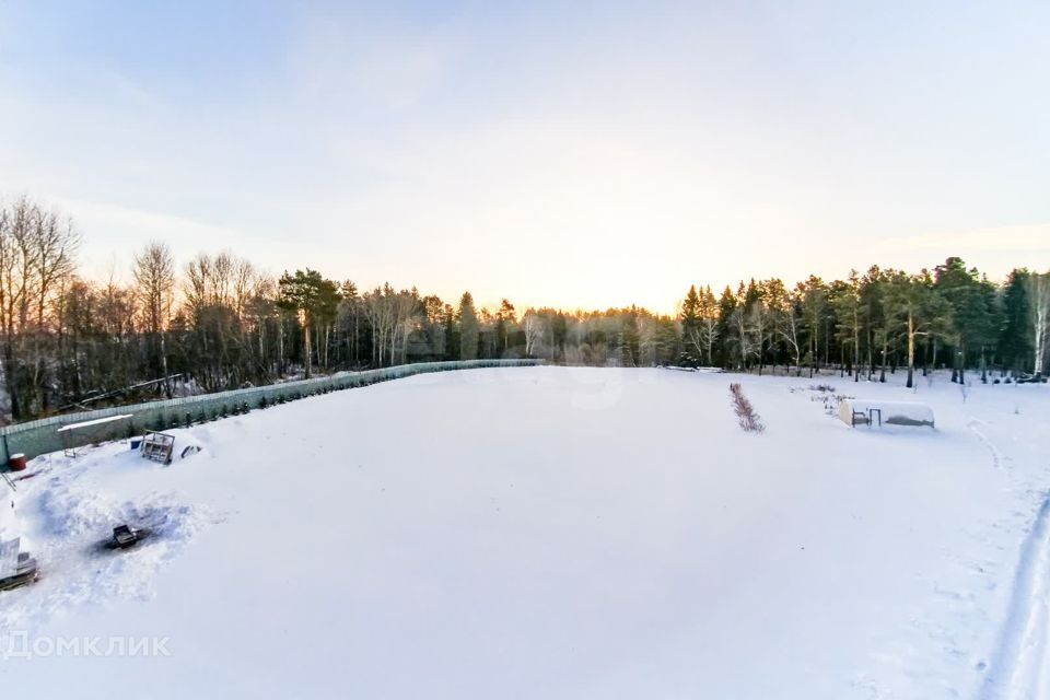 земля р-н Тюменский с. Гусево фото 4