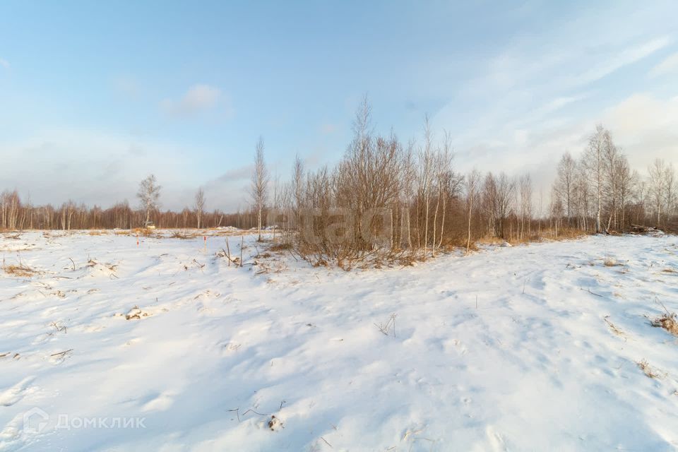 земля г Тюмень снт Светлячок Тюмень городской округ, 1-я улица фото 3