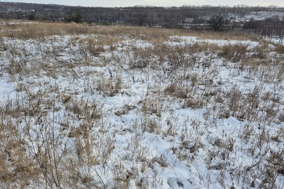 земля г Белгород пер 1-й Лучевой Белгород городской округ фото 6