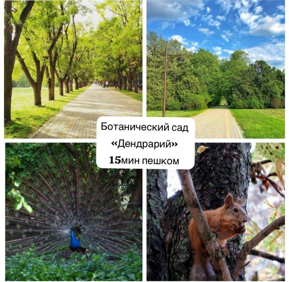 квартира г Краснодар проезд Славянский ул Славянская 81 ЖК «Краснодар» 81 фото 4