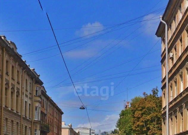 свободного назначения г Санкт-Петербург метро Горьковская ул Малая Посадская 15б фото 3