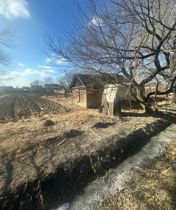 земля р-н Михайловский с Михайловка ул Колхозная 147 фото 3