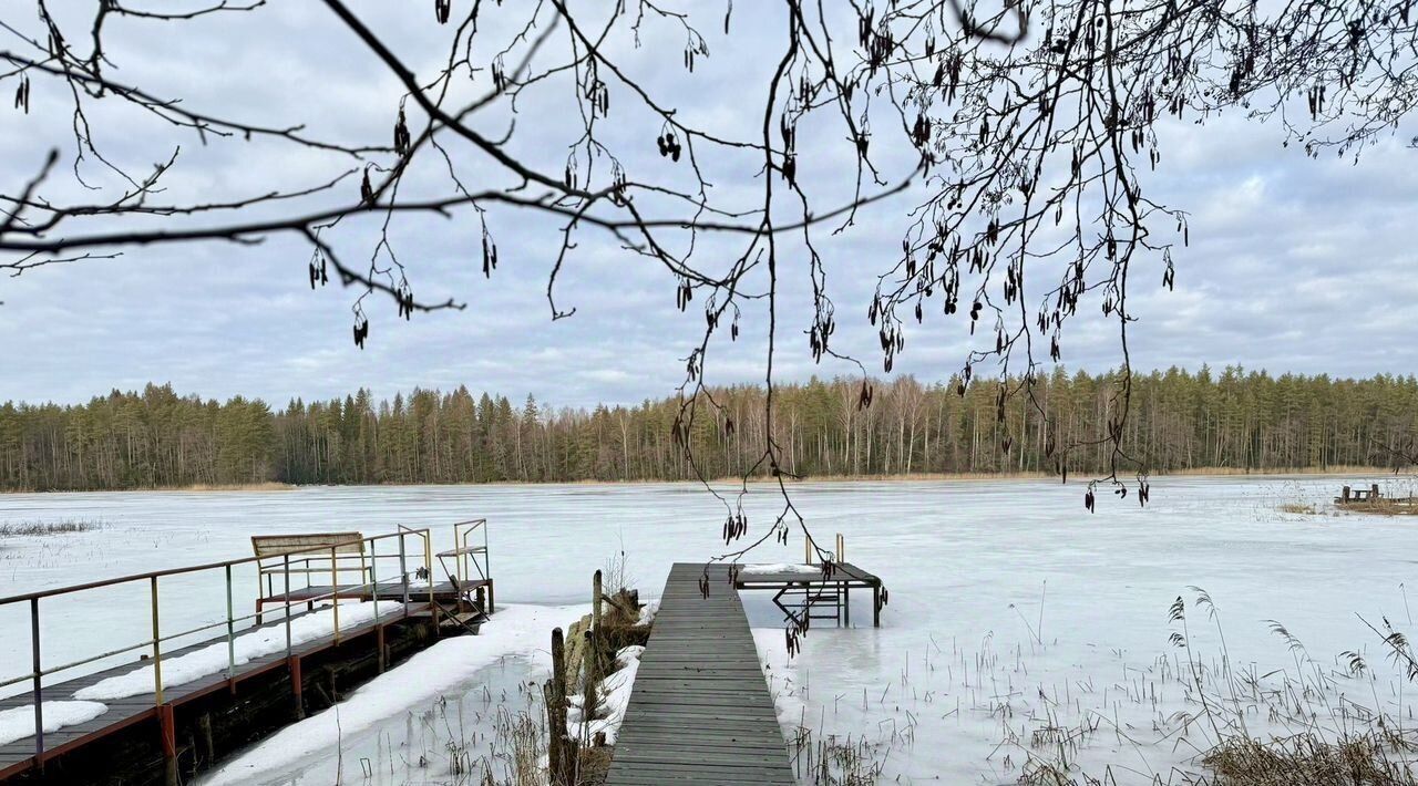 дом р-н Бологовский д Грязны 13 фото 1