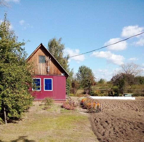 снт Шинник Новоомское с/пос фото
