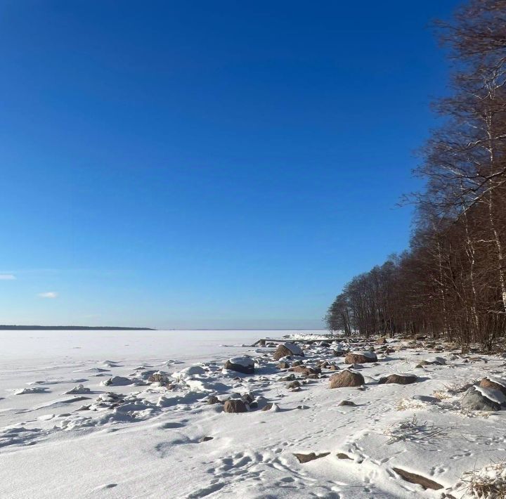 дом р-н Выборгский п Вязы Приморское городское поселение фото 20