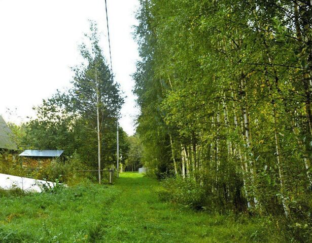 земля д Петрицево Глебовское сельское поселение, Глебовский сельский округ, Волга фото