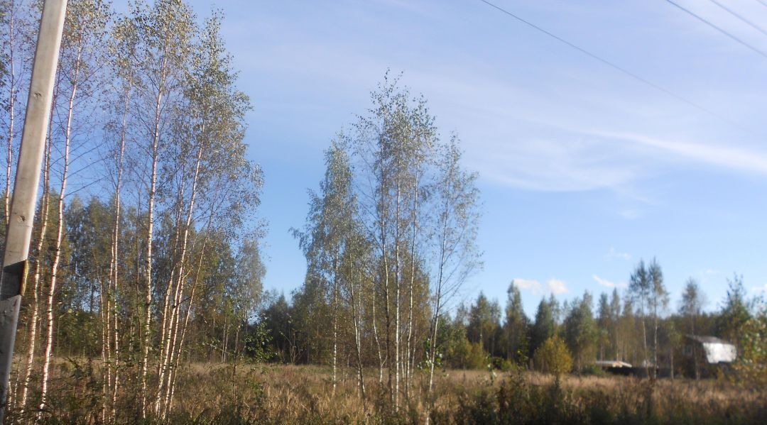 земля р-н Всеволожский Рахьинское городское поселение, Гладкое-Рахья кп фото 4