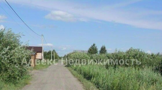 земля г Тюмень р-н Центральный снт Царево ул Журавлиная фото 2
