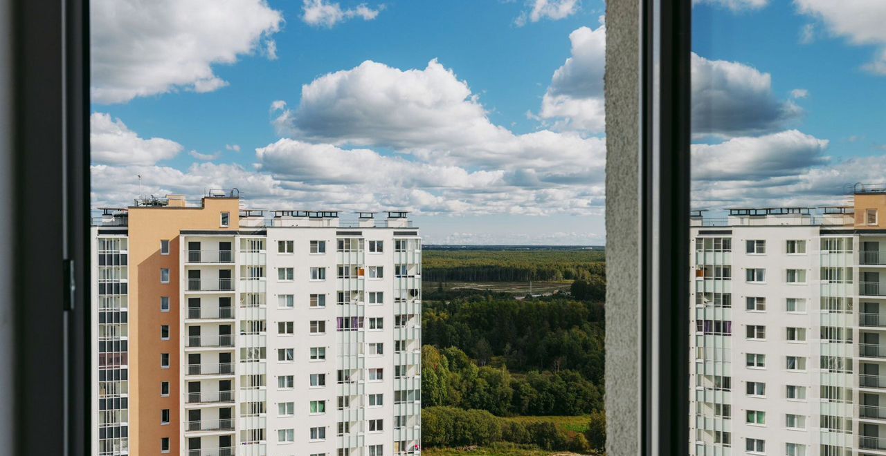 квартира г Санкт-Петербург р-н Красногвардейский пр-кт Пискарёвский 347/1 дор Муринская ЖК «Цветной город» округ Полюстрово фото 5