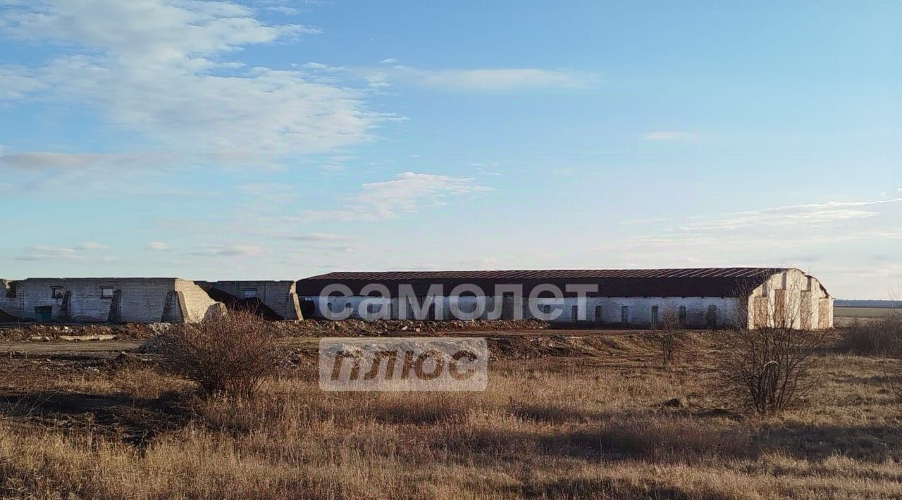 производственные, складские р-н Лебедянский с Куймань ул Центральная 11 сельсовет, Куйманский фото 6