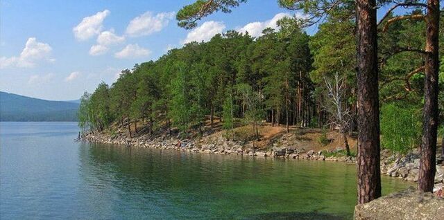 Кузнецкое сельское поселение, СПК Здоровье, 2-й квартал, Новогорный фото