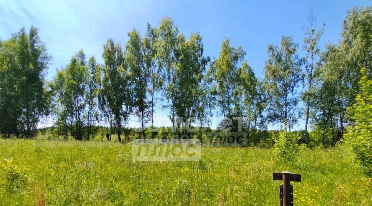 земля г Калуга д Лихун ул Молодёжная фото 2