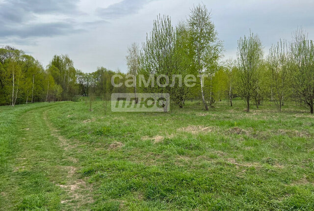 городской округ Раменский с Салтыково фото