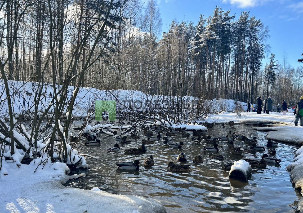 квартира р-н Всеволожский г Всеволожск ул Центральная 10/2 Всеволожское городское поселение, мкр-н Южный фото 31