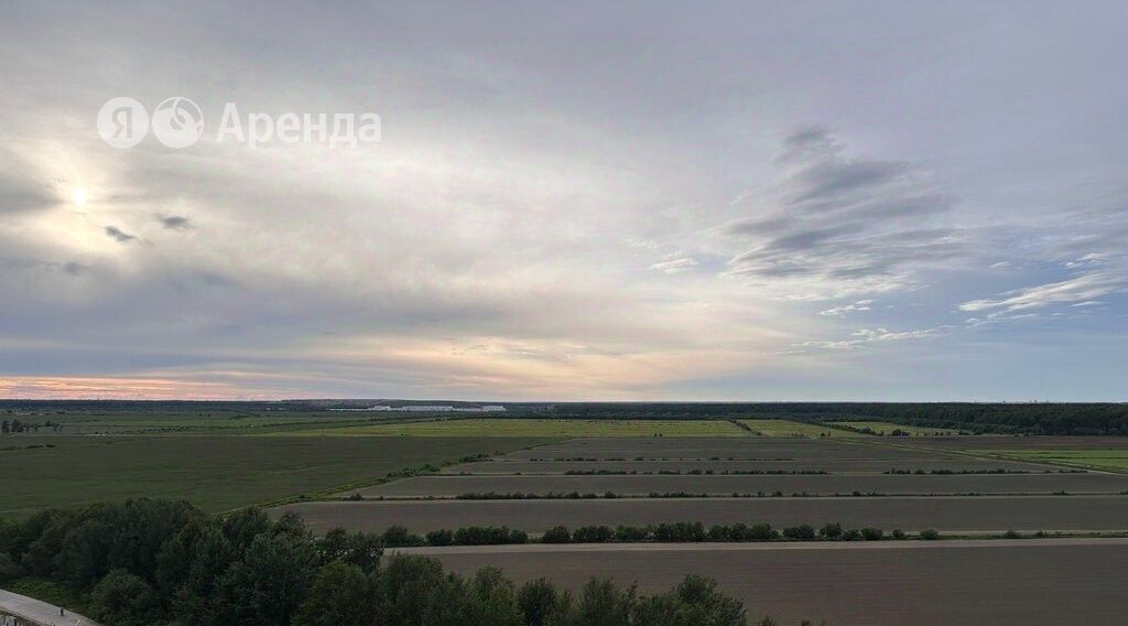 квартира г Санкт-Петербург метро Комендантский Проспект аллея Арцеуловская 23к/1 фото 9