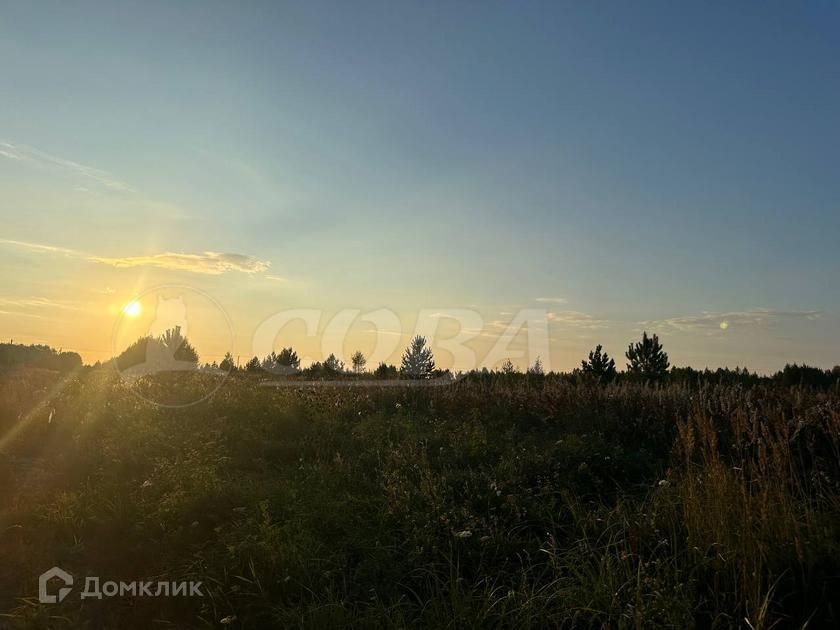 земля р-н Нижнетавдинский снт тер.Райские сады Янтарная, 16 фото 3