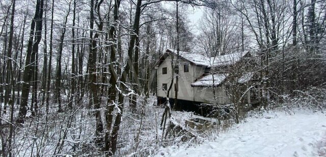 городок Старый ул Школьная 68 Городок, Лесной Городок фото