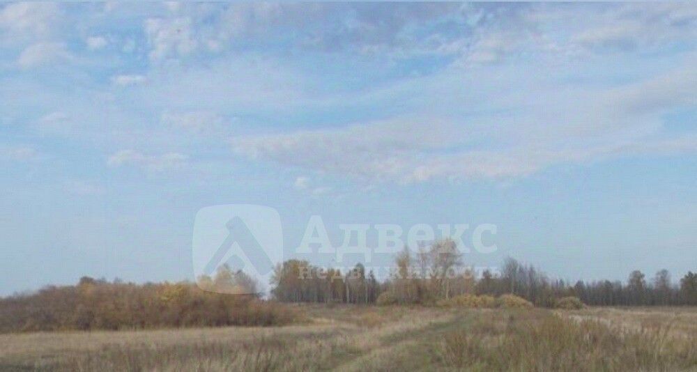 земля г Курган мкр Тополя ул Весенняя фото 1